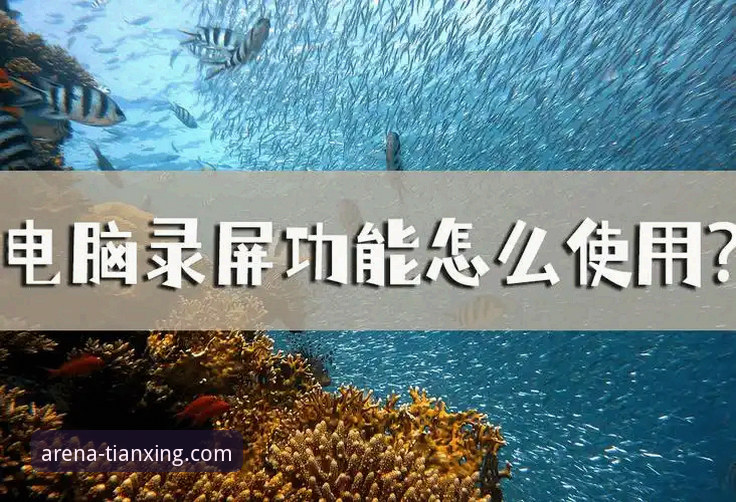 天行体育最新版本下载推荐 天行体育最新版本下载与功能使用全教程