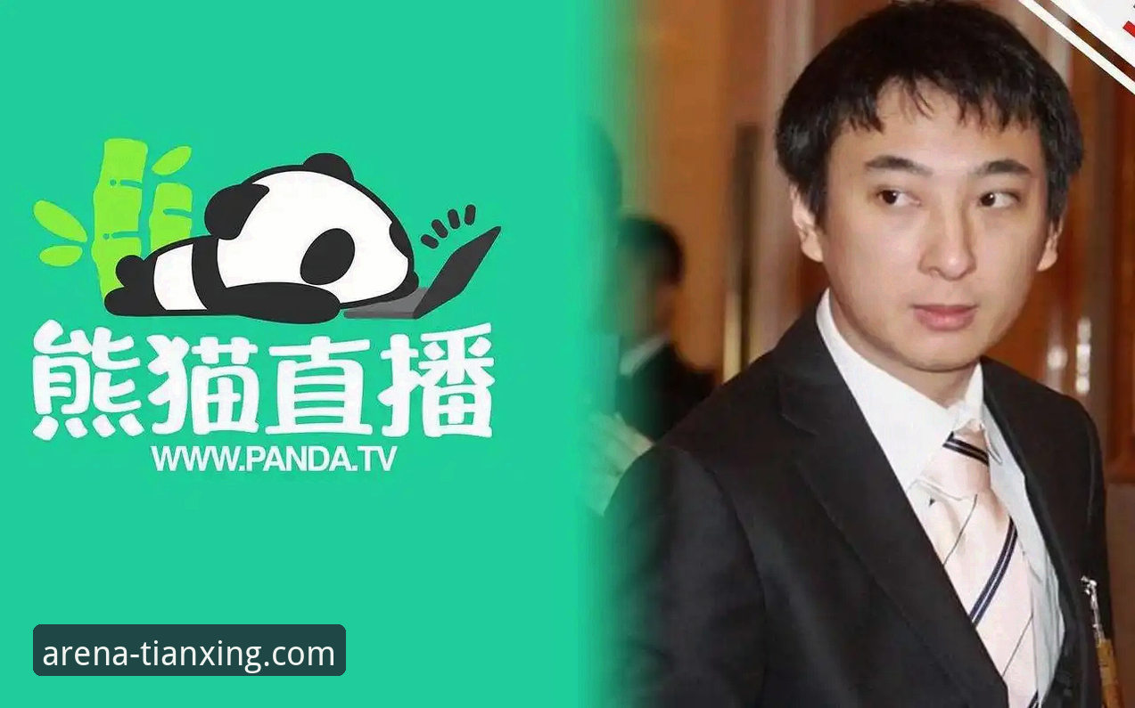 天行体育安卓版直播流畅度全面解析：从技术架构到用户体验的深度评估