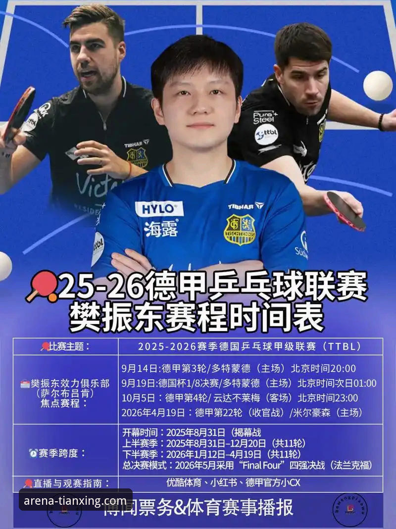 广东逆转宁波关键战全面解析：徐杰暴走背后的战术博弈与平台观赛体验